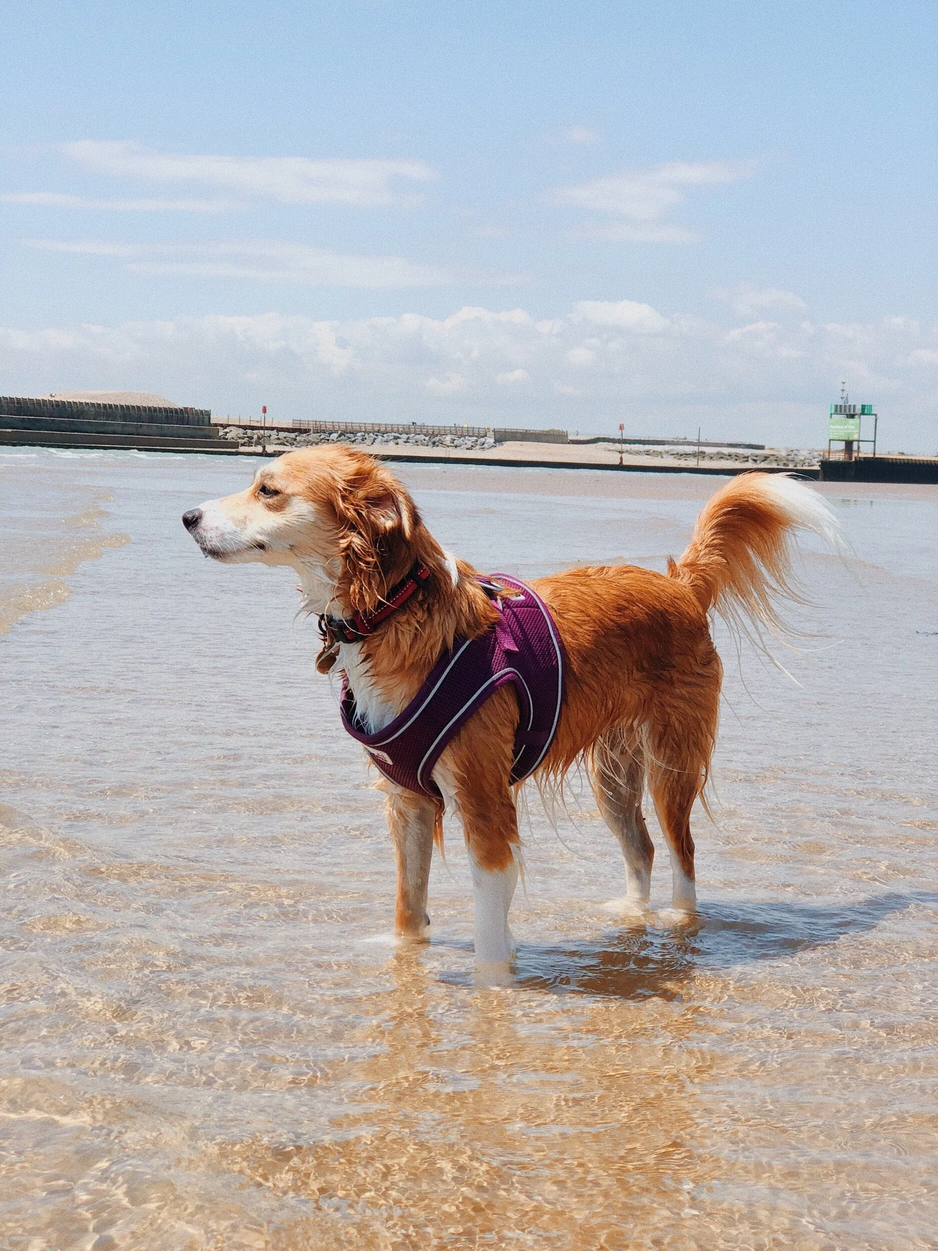 8CCEB351-350A-4D5E-AEBD-775581776C05