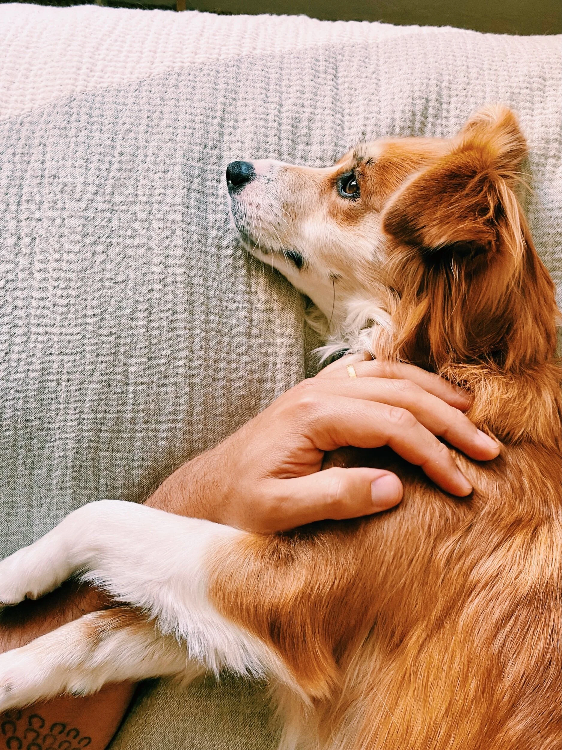 555F20F4-110B-4EAF-B6B7-1F2E9DCDA04E