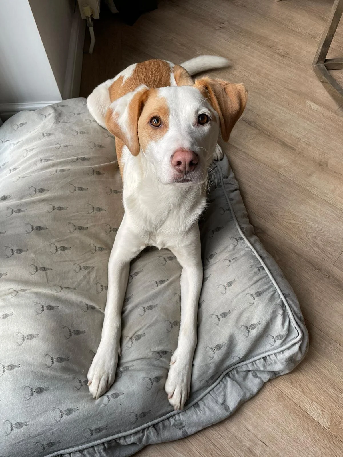 6A0304AE-B7B5-4B5B-A6CB-091F95DA0521