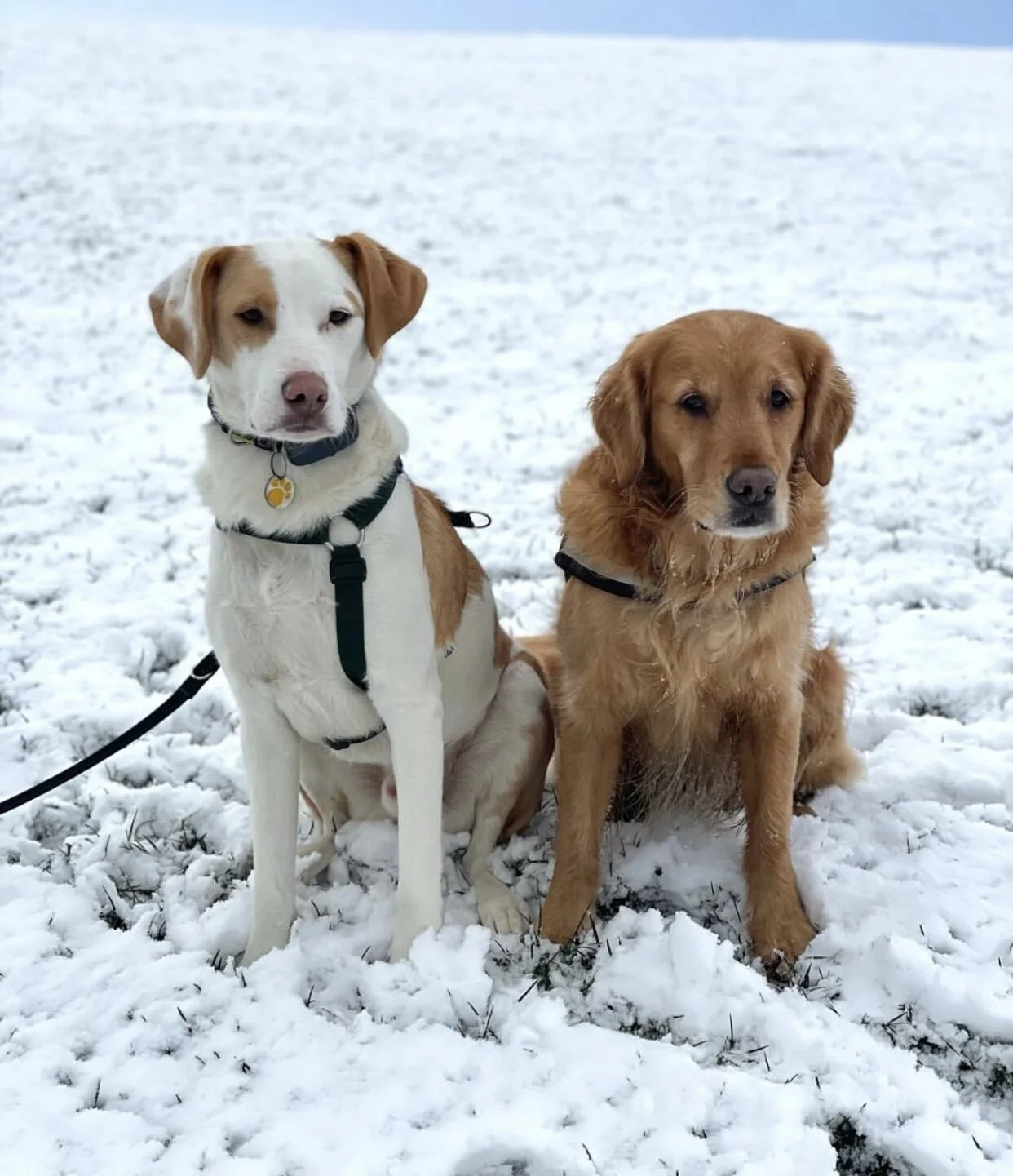 62DC4ABB-B2C7-40E0-8D25-89A0A7950A9D