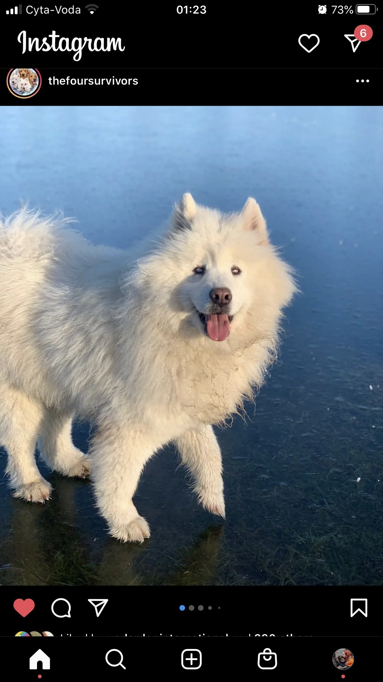 08ED729A-A0EB-4F2B-9162-B92F56C2BAA3