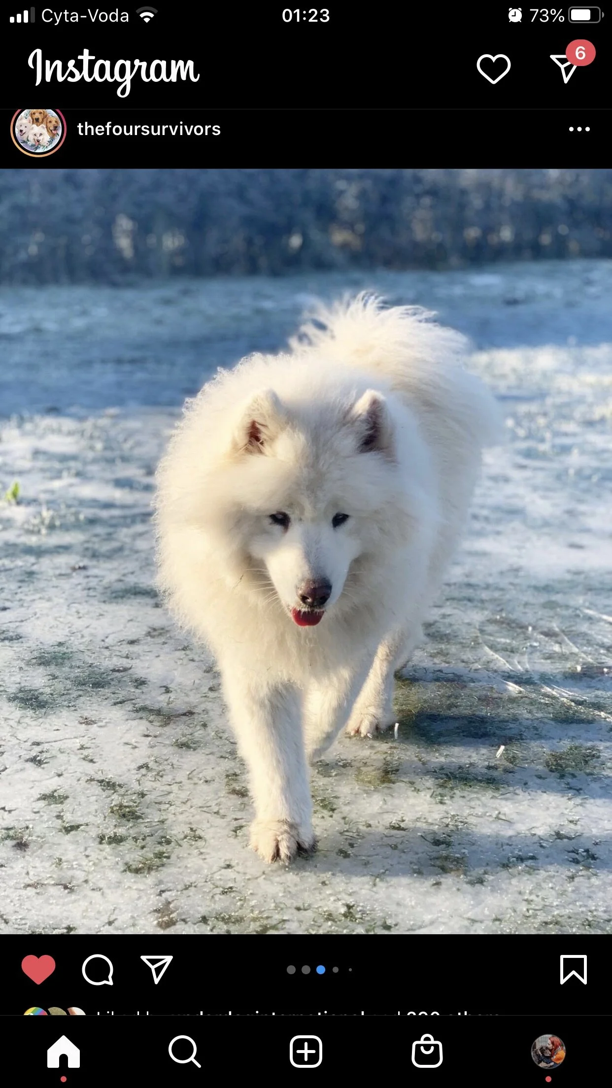 C7601F4C-8D0A-491E-BCEB-F2C904BCA831