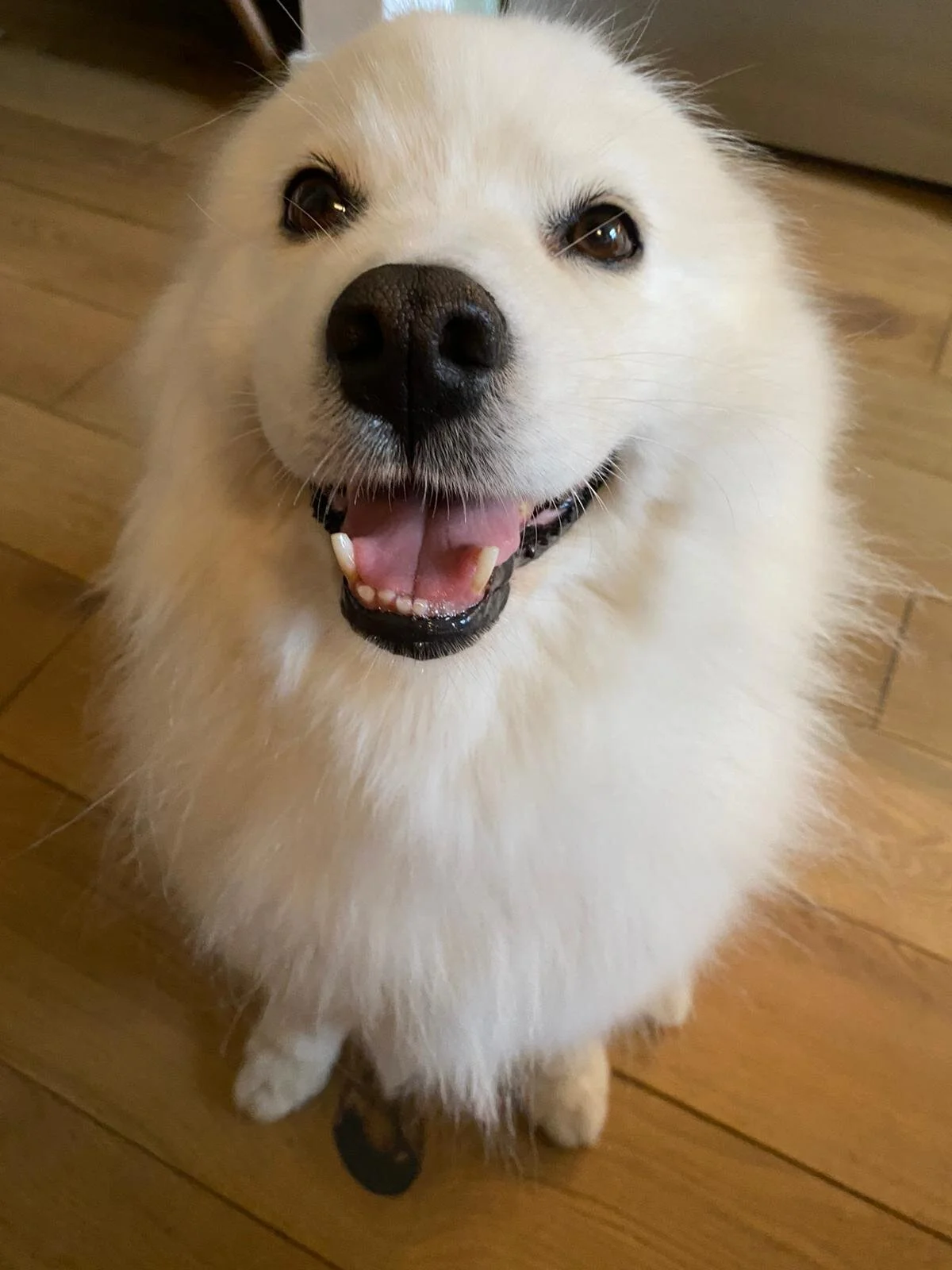 4D0DCBD5-AAF8-44BA-B5CD-1B5B772A034D