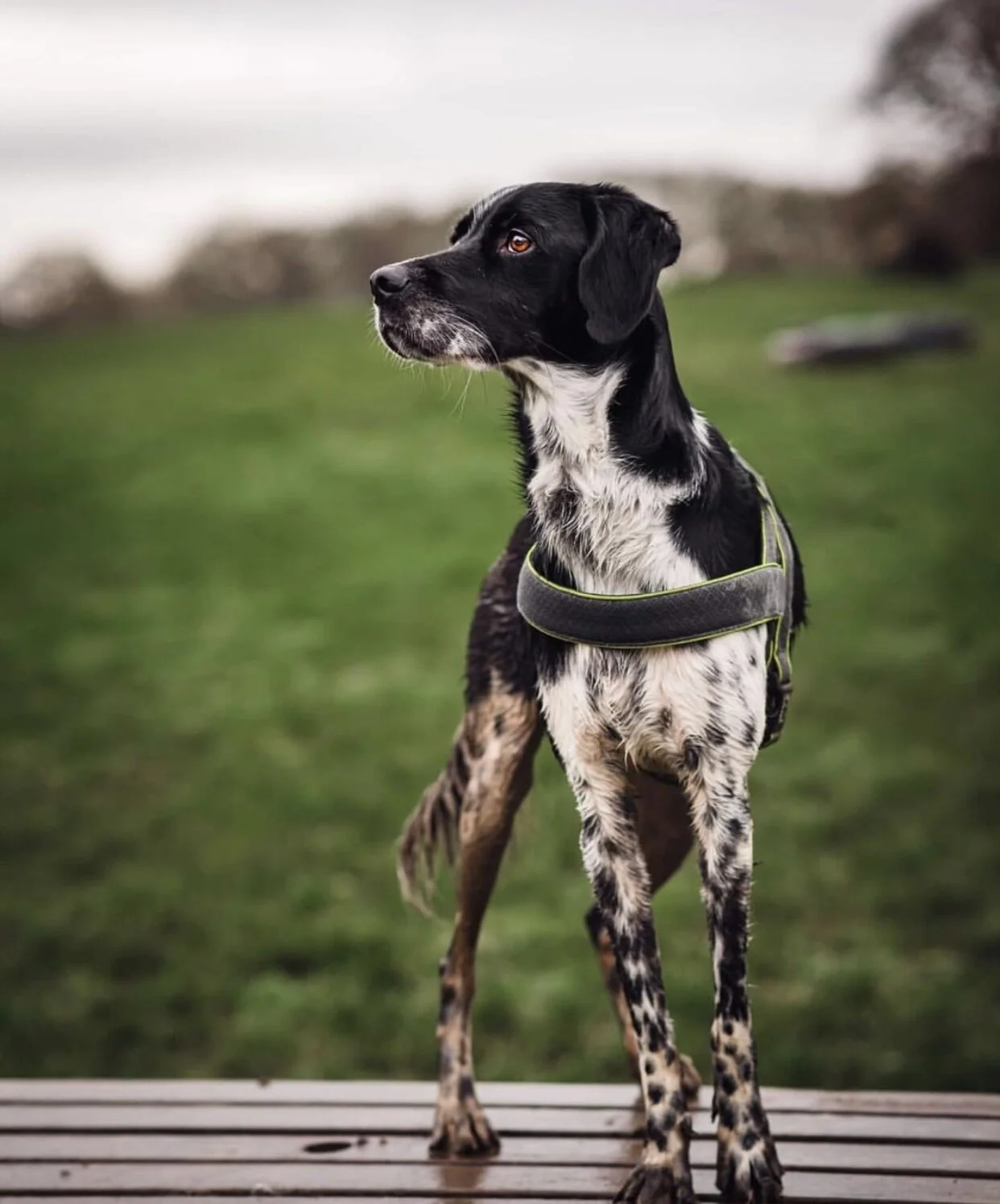 0DE8A98C-3116-4E4C-B52A-20499CF5A958