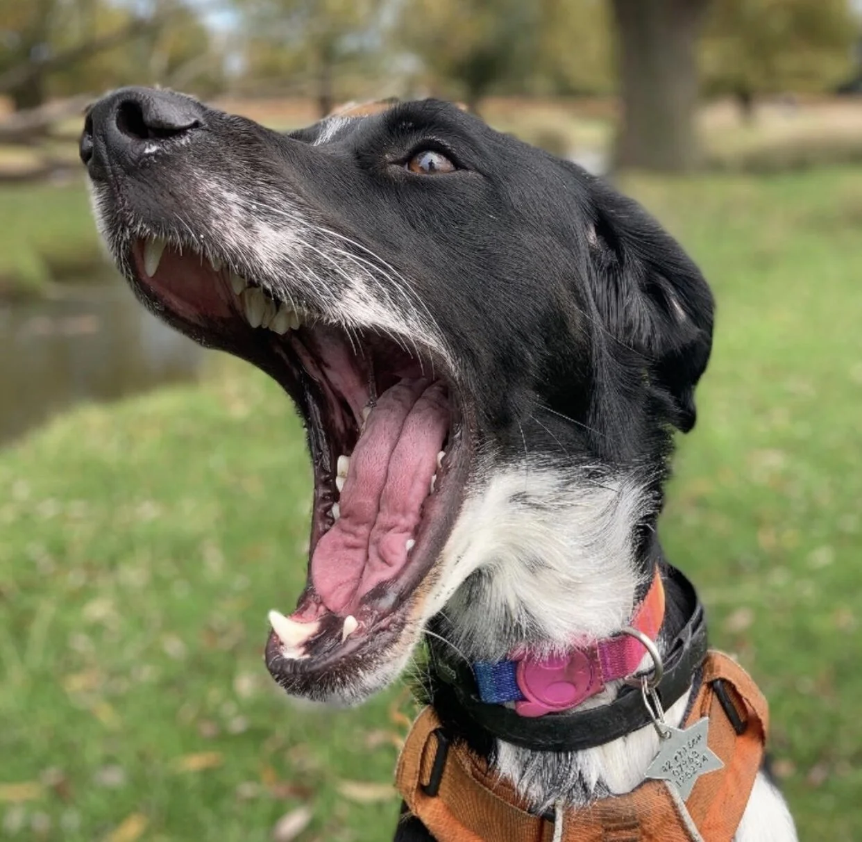 33F5E0F2-5B6F-4929-A9CF-3525E972DC37