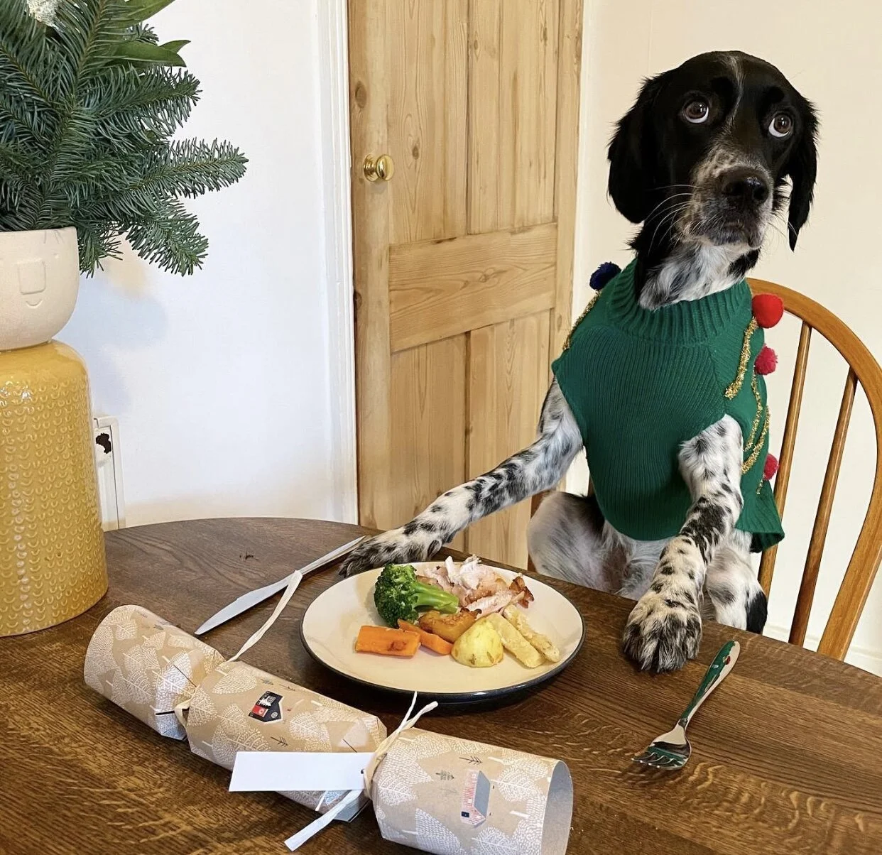 A41060A0-4FD9-4EFB-ACC5-1E26F8C8B47C