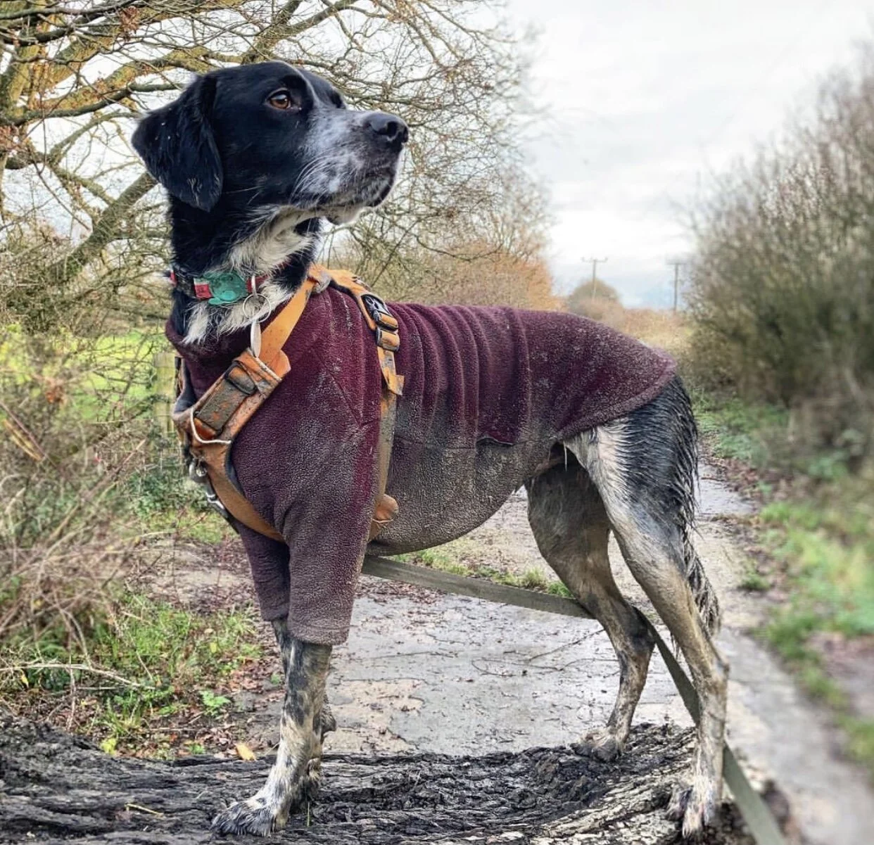 5086972B-641E-4180-900A-642258DEC4F5