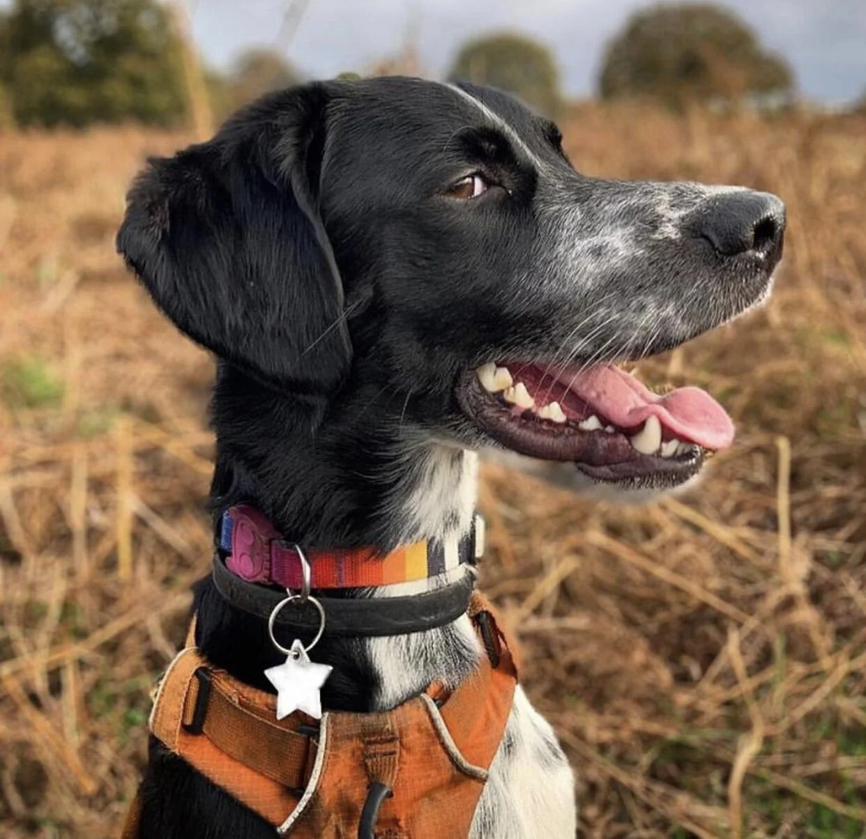 EB6F5491-E181-43D8-A3A3-51CA3FA54045