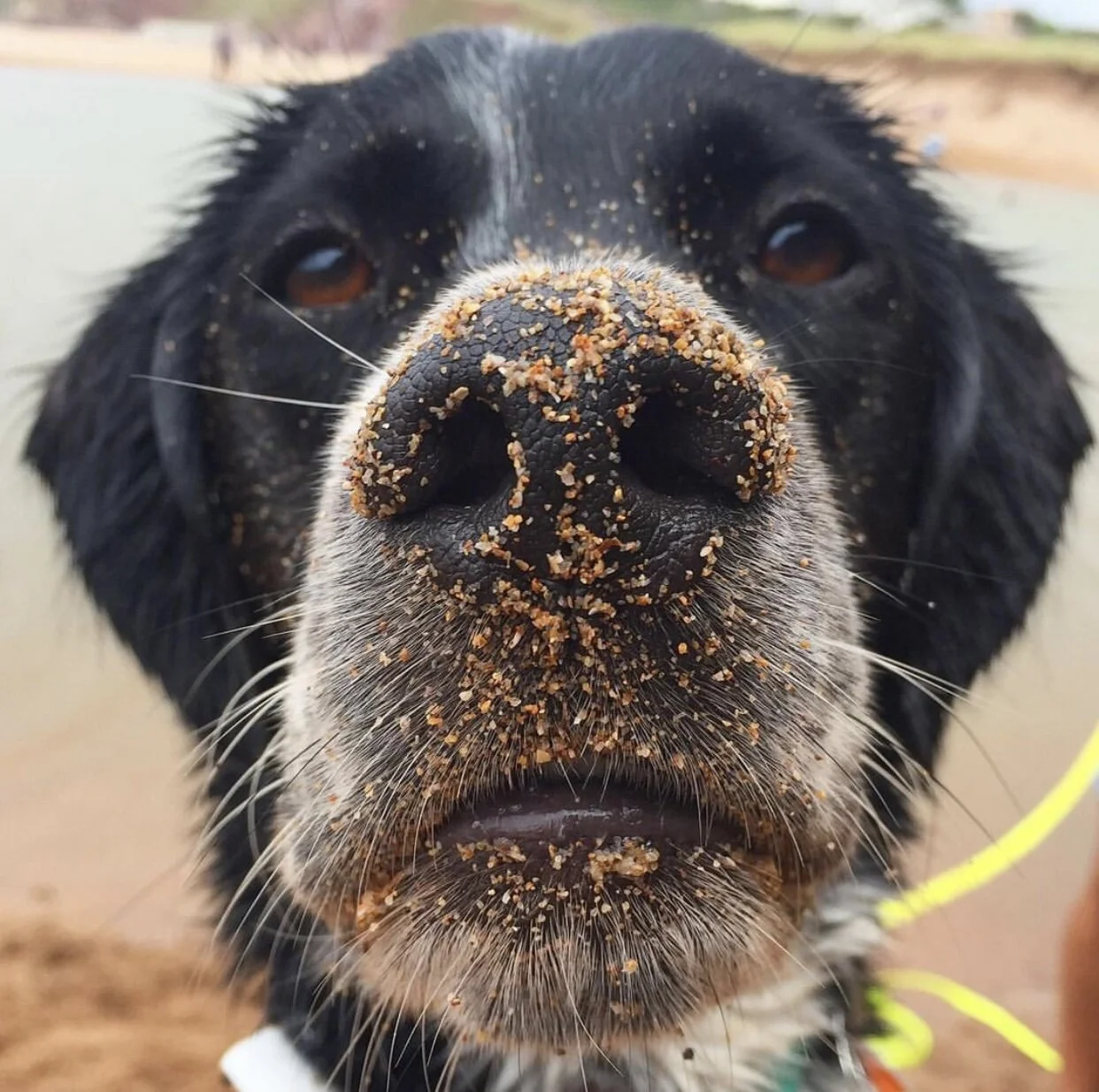 70868673-938F-40A0-B7F7-7A6123A74BF3