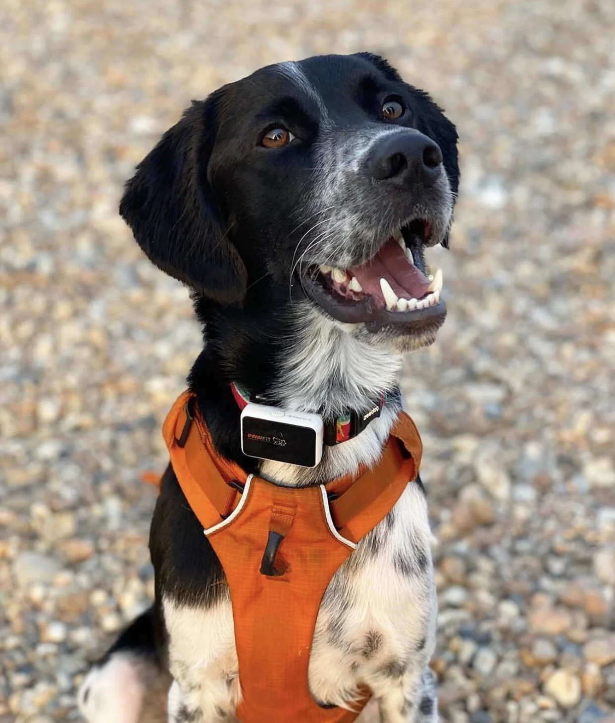 F053C043-D456-4C1A-AC9C-31DD64DE6B51