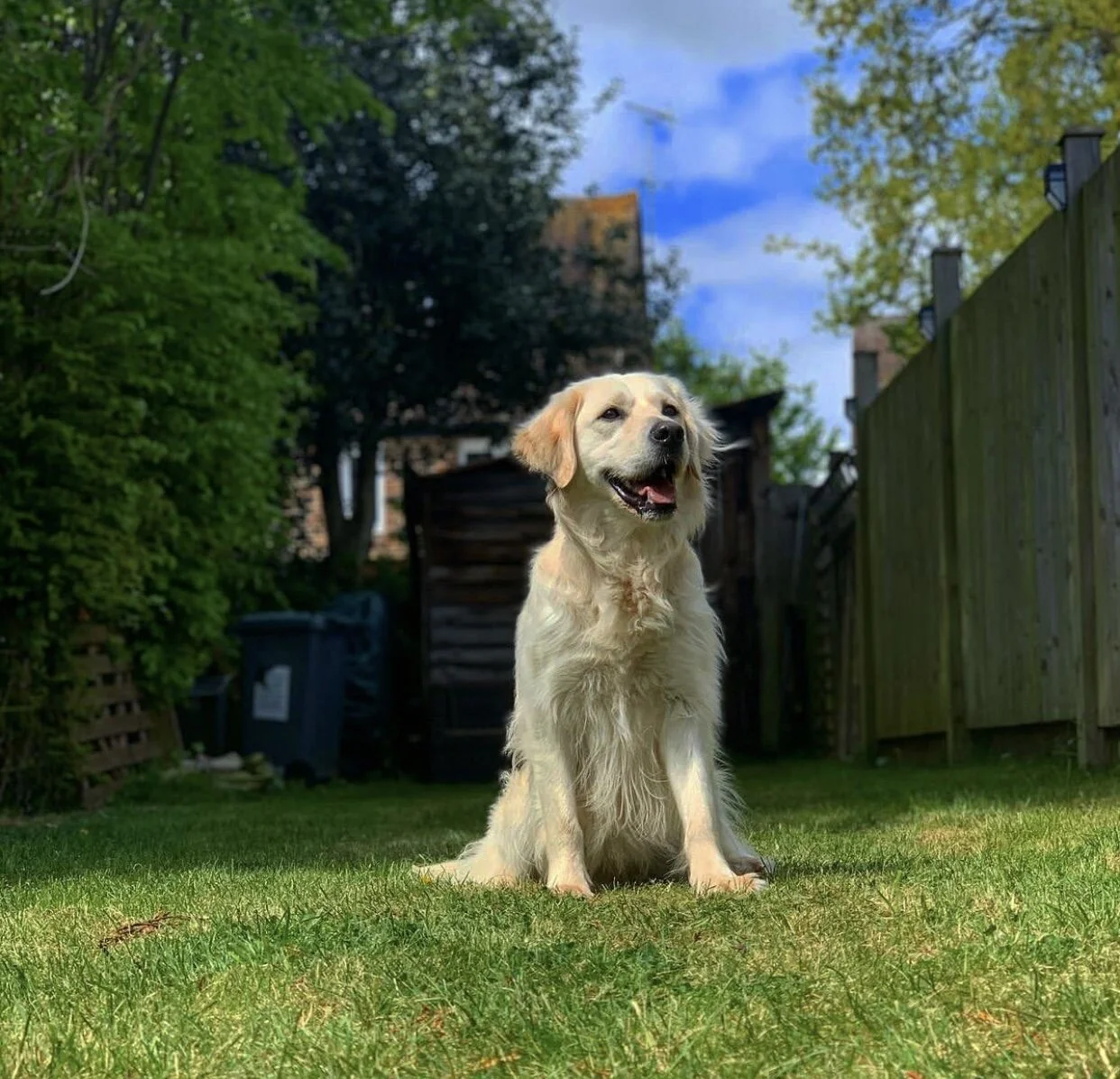 BCFD3939-B876-4644-AFBB-86FF97473A22