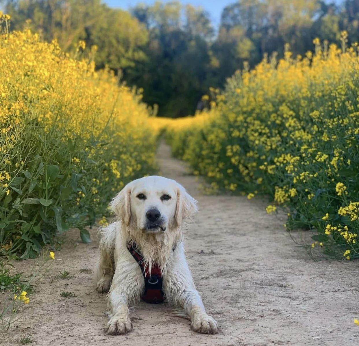 1F5E1320-6BD8-4651-A3E3-9BFEE8BE3DD0