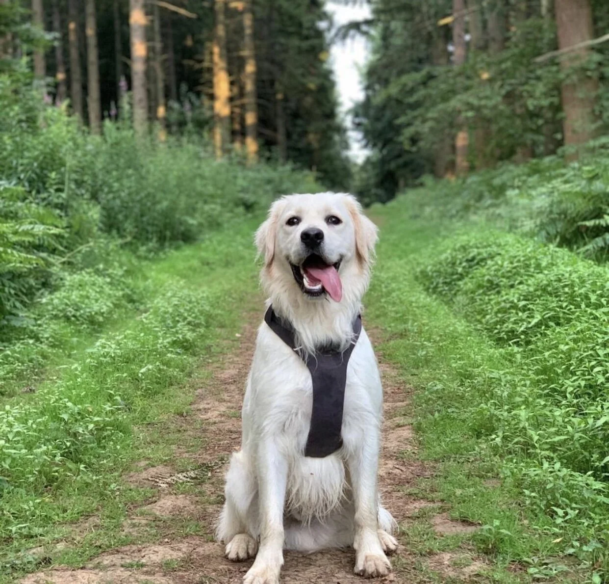 1F2D89AE-CC24-440F-A9D5-1080AA34E476