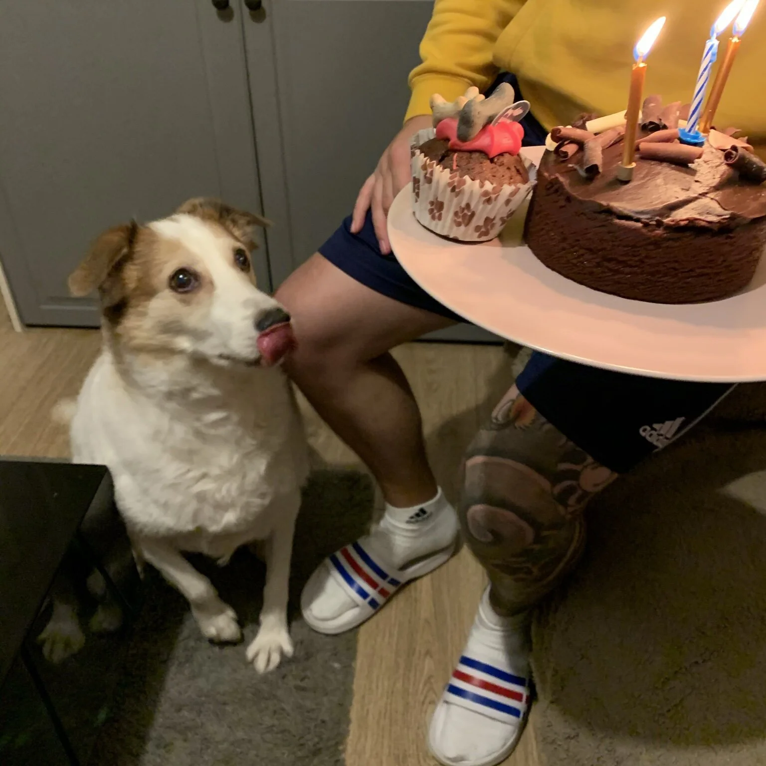 EAF61A7D-514C-4ED3-8562-82A2DB276FC5