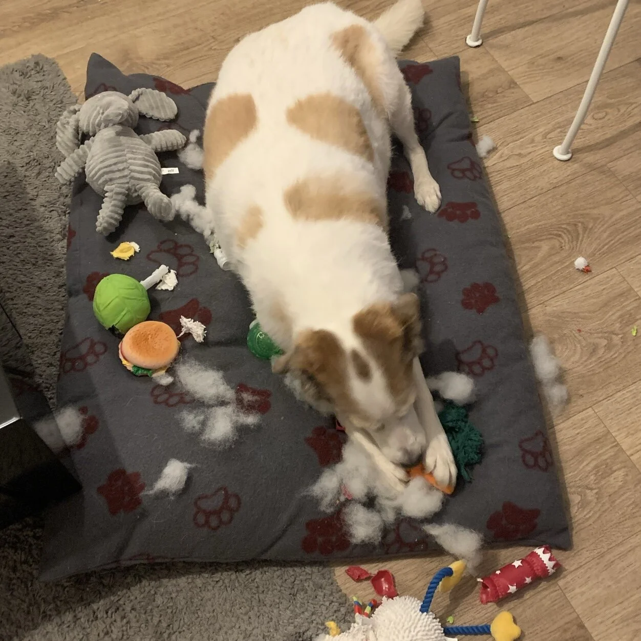 2015554D-F776-40BC-AB54-4C13AC40BE0E