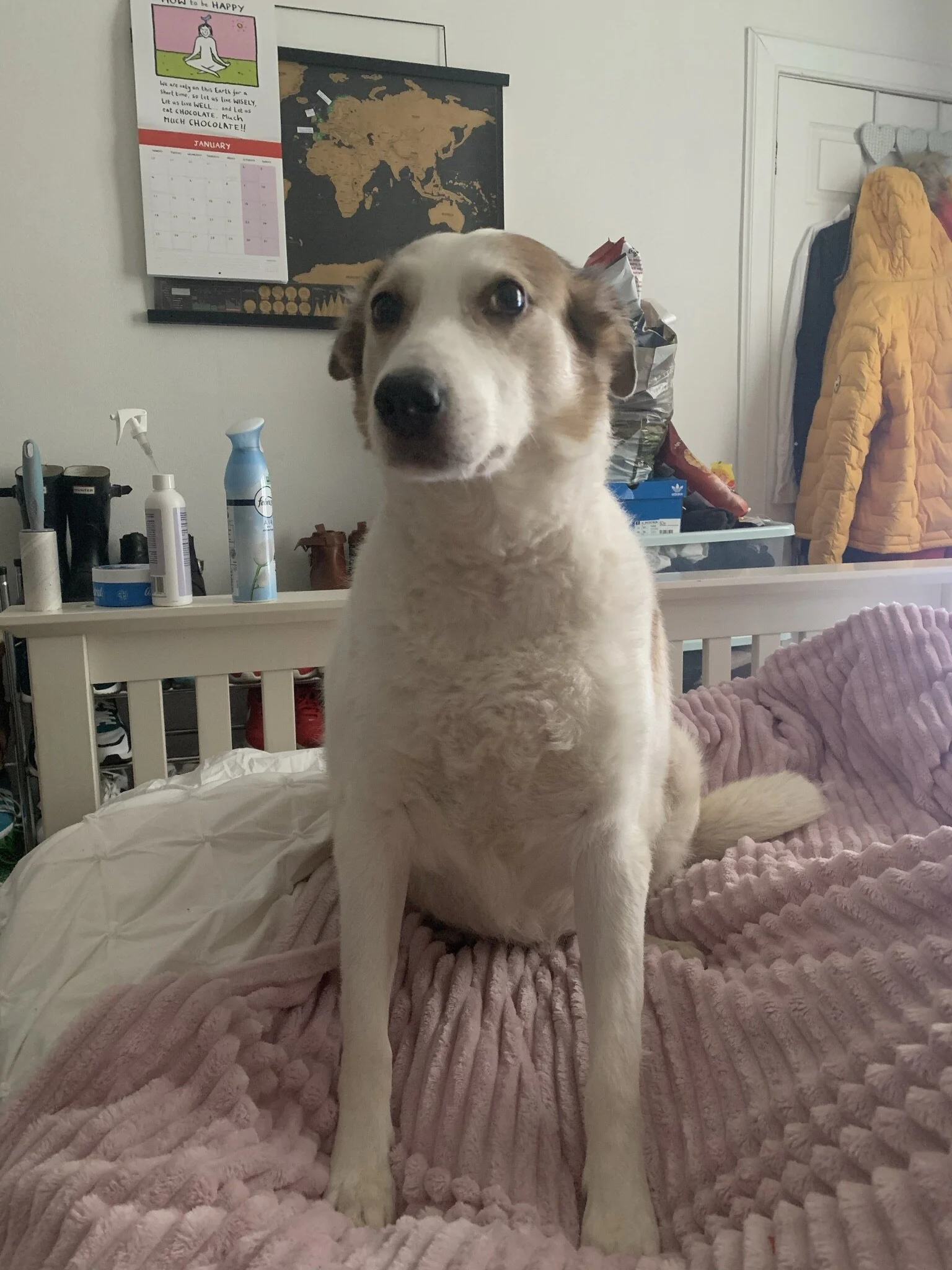 10FCA5C4-F08A-4EFF-B221-18AFE30E54C2