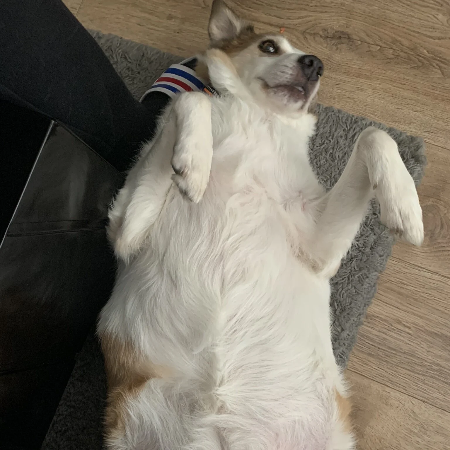 8FDC0141-D2BF-4386-A8AF-730CB4E50BA3