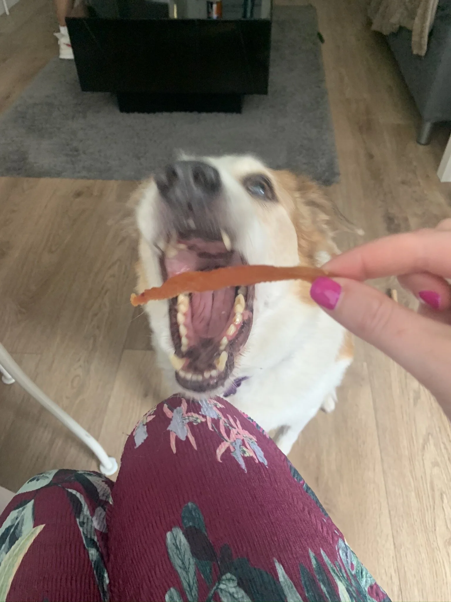 DABA3EA3-7B9D-4580-A76D-62D90CA6BB26