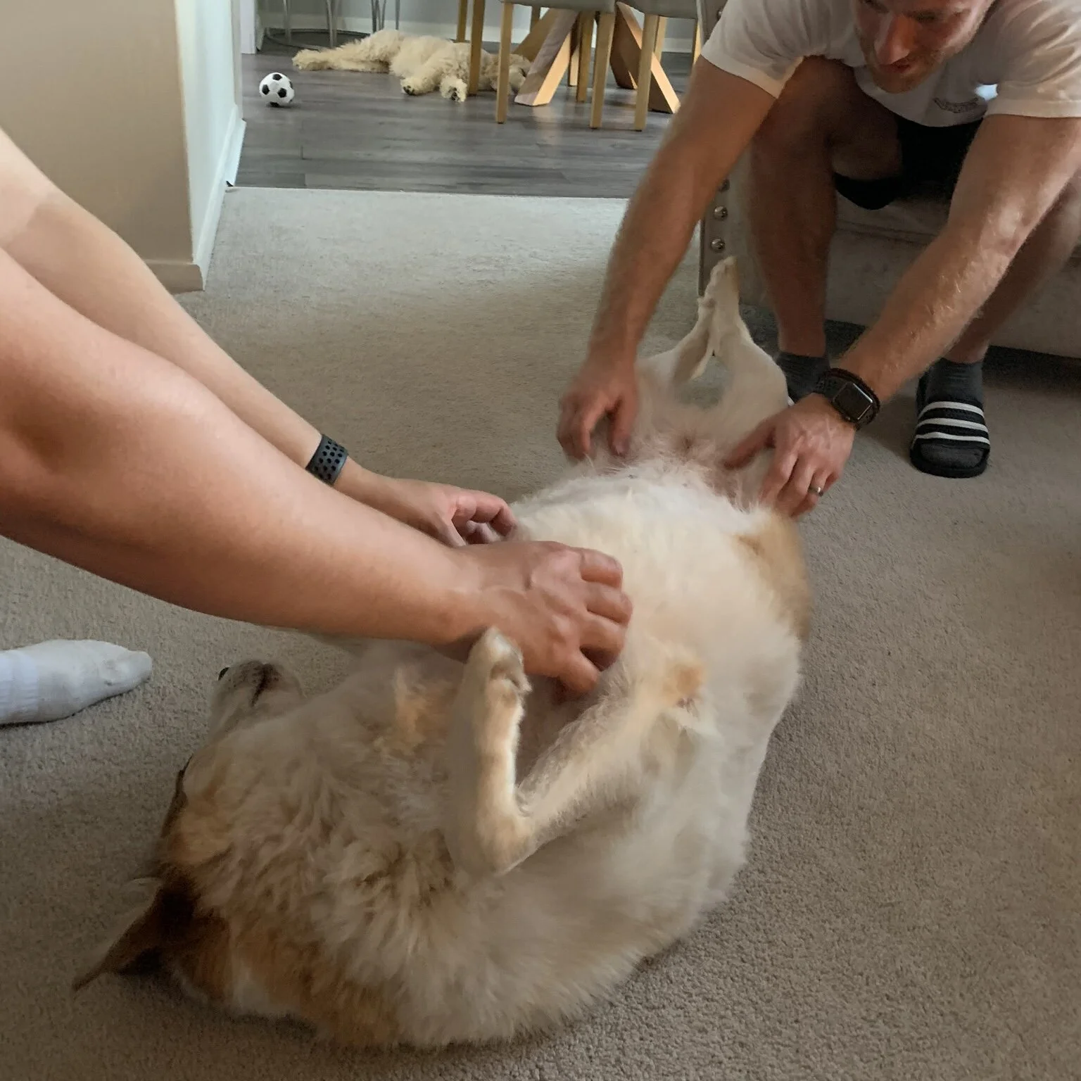 EA480598-8FBC-452D-9F7F-7EBE59F6FEE6