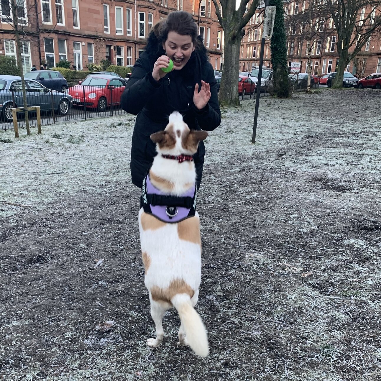 9EBD080C-AEB9-4D40-AE78-387E875C7E7F