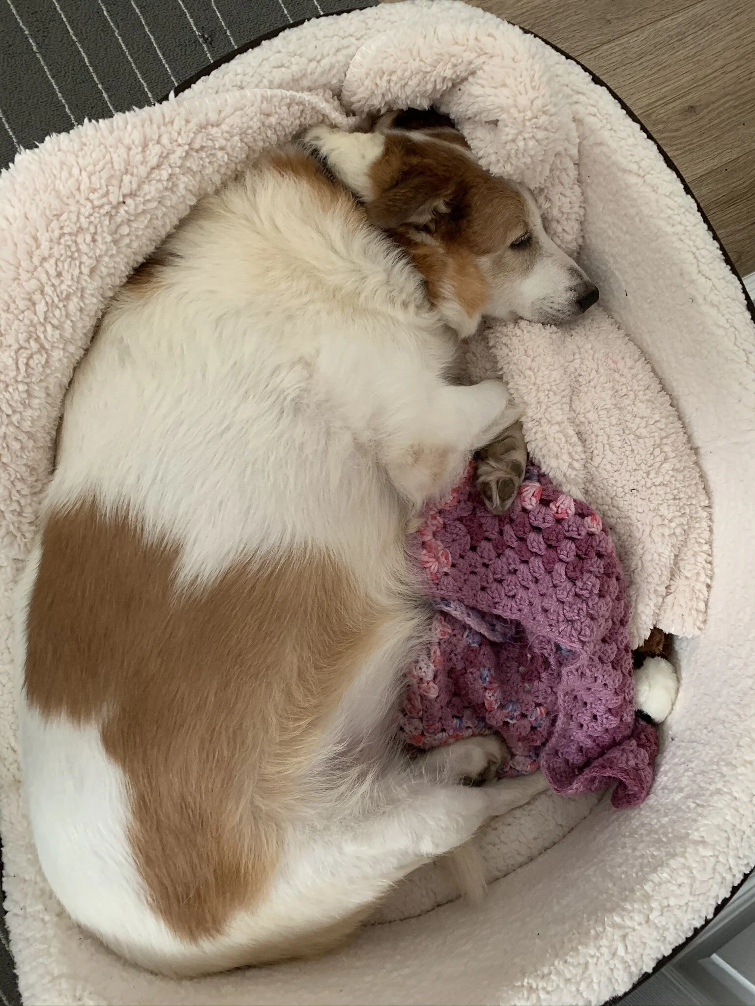 3A637D9C-5C70-4E10-8912-385310CDF96C