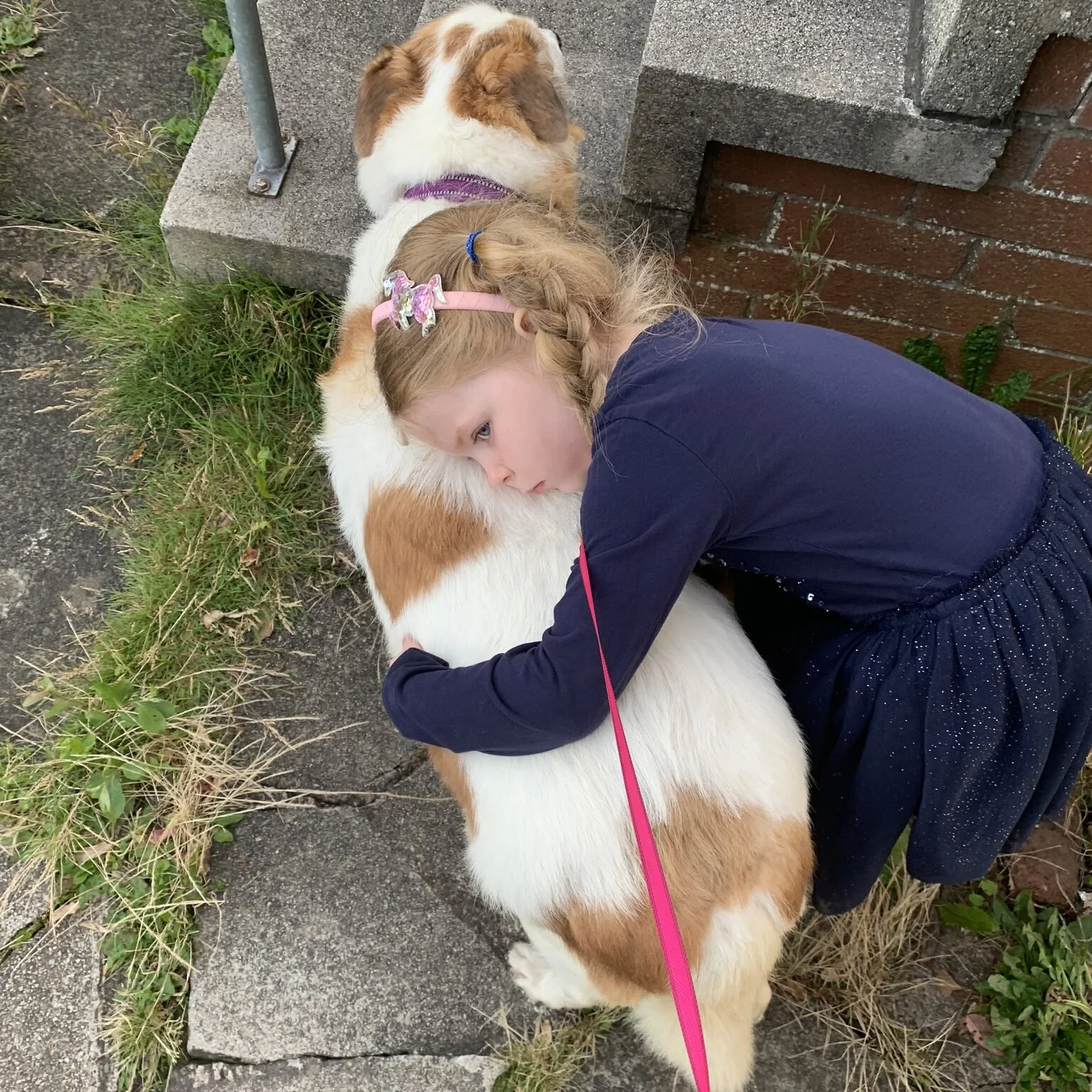 00CE6640-69E6-4DF4-AEC9-BF6E79F6C63B