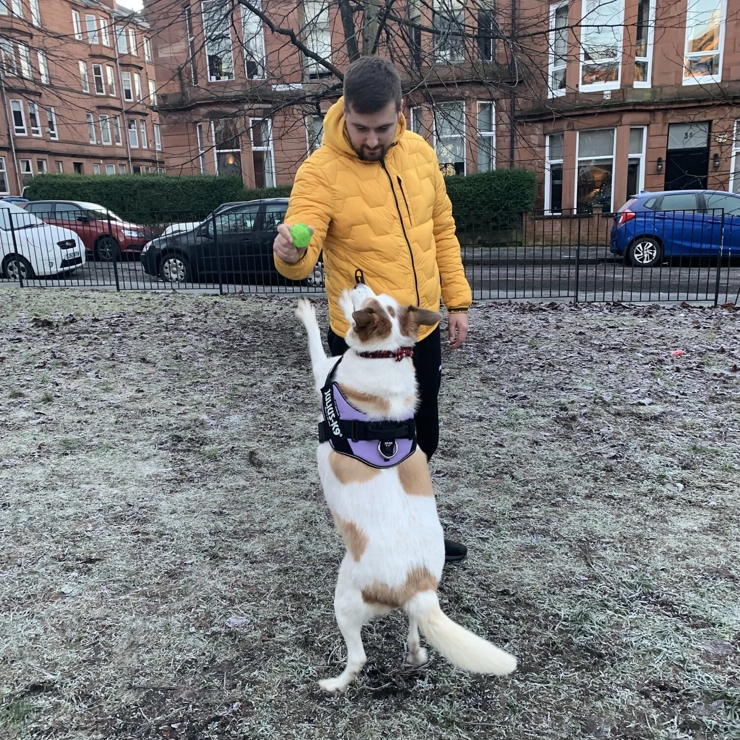 44917836-D573-43FE-AA1D-73569A8DDFE5