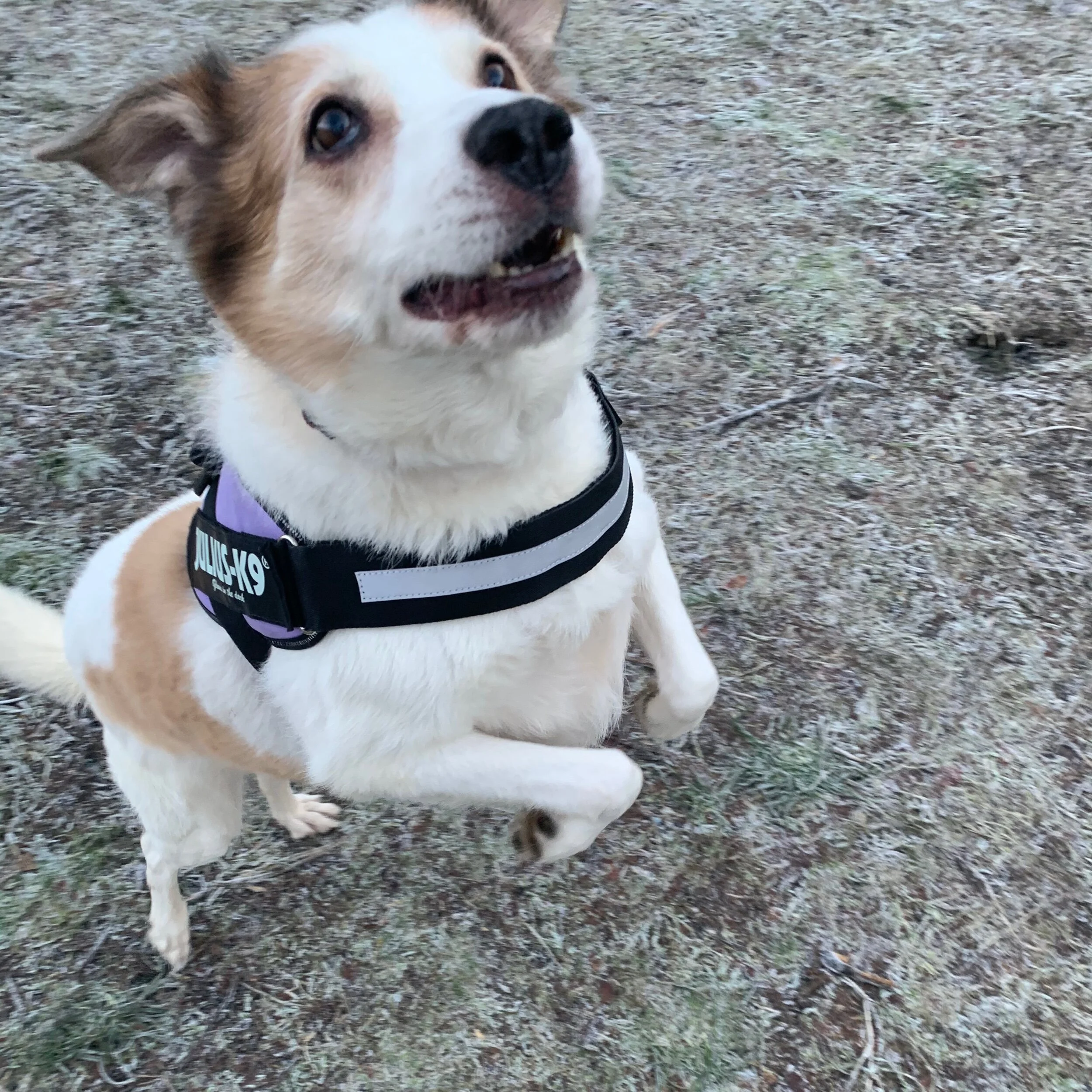 8BE2F20D-4F14-4FB8-9681-AE71F74020BB