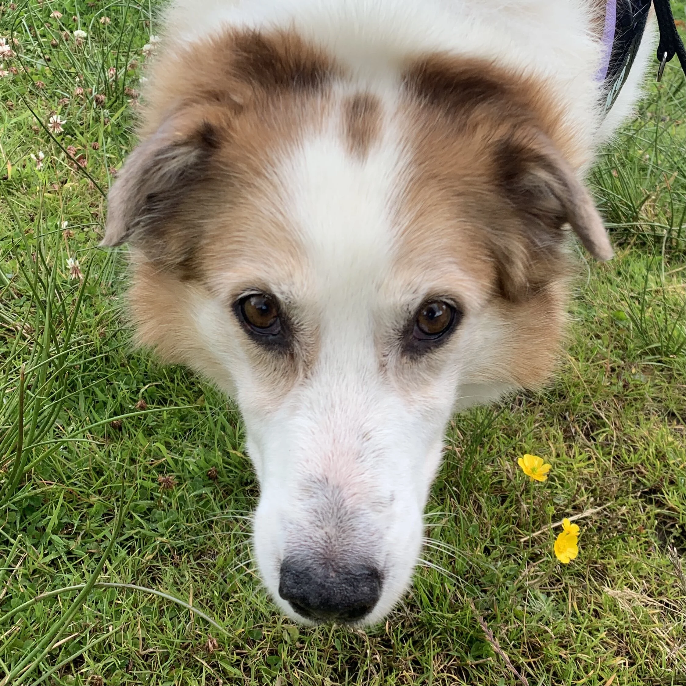 8364CA63-8D74-4FB2-BDCF-5B9EC1A0CD54