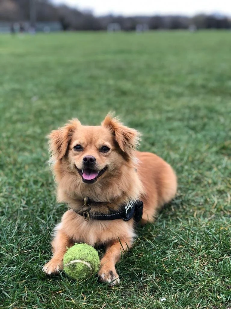 DA61317C-3673-41FA-8593-A911E775A9F1