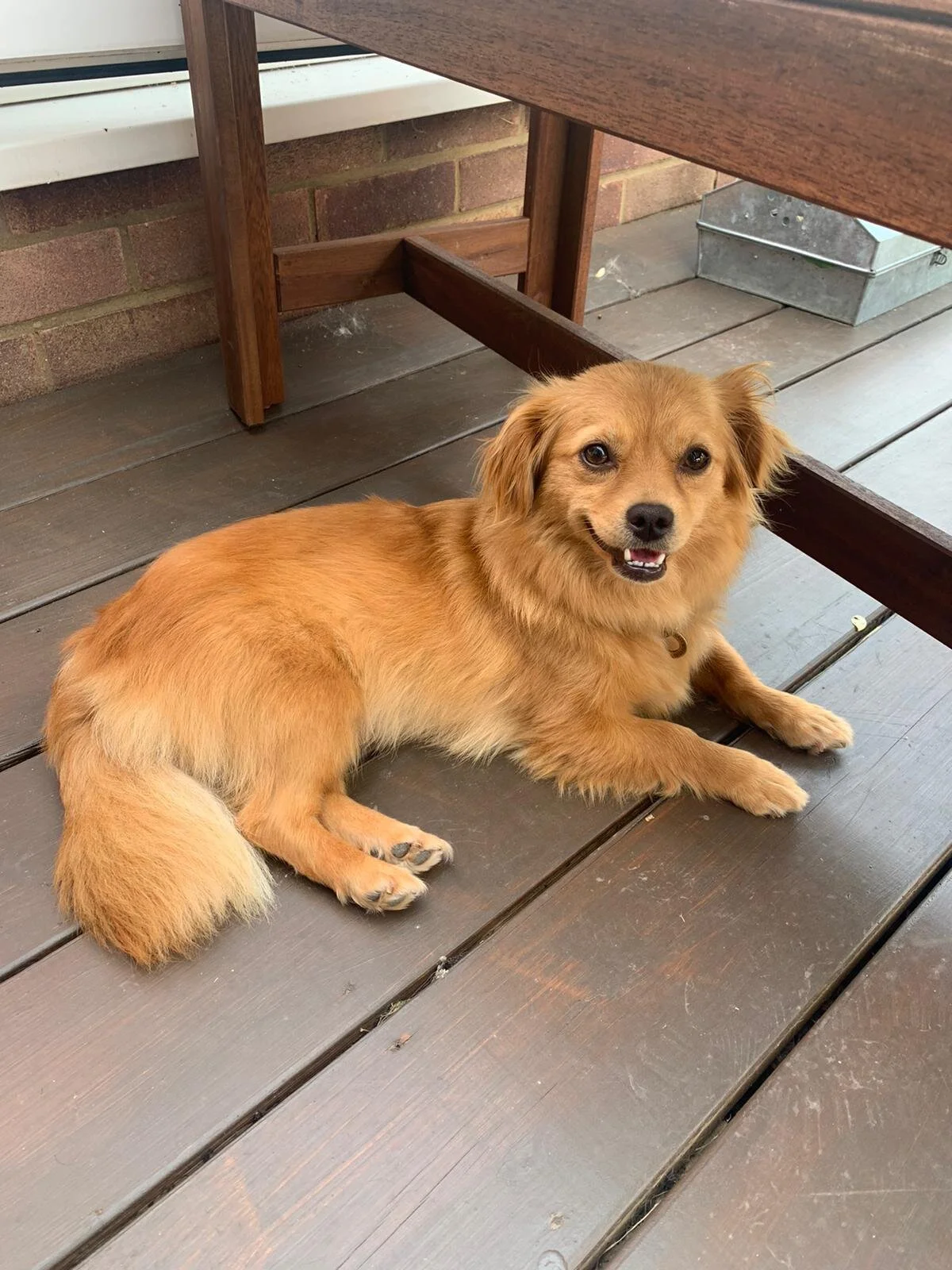 0B42226F-8D70-44A4-9529-AF29B7403067