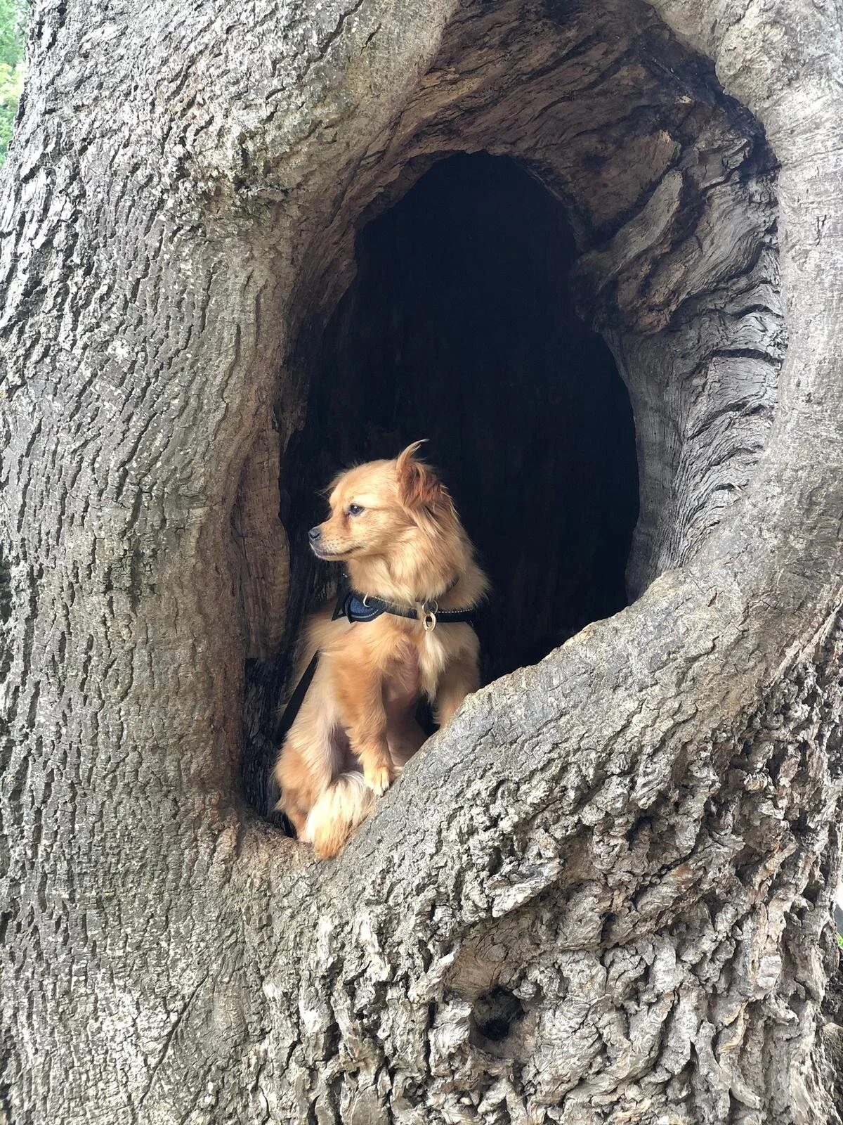 0D7DF2E6-83D6-4FBC-83F7-350CD879B8A0