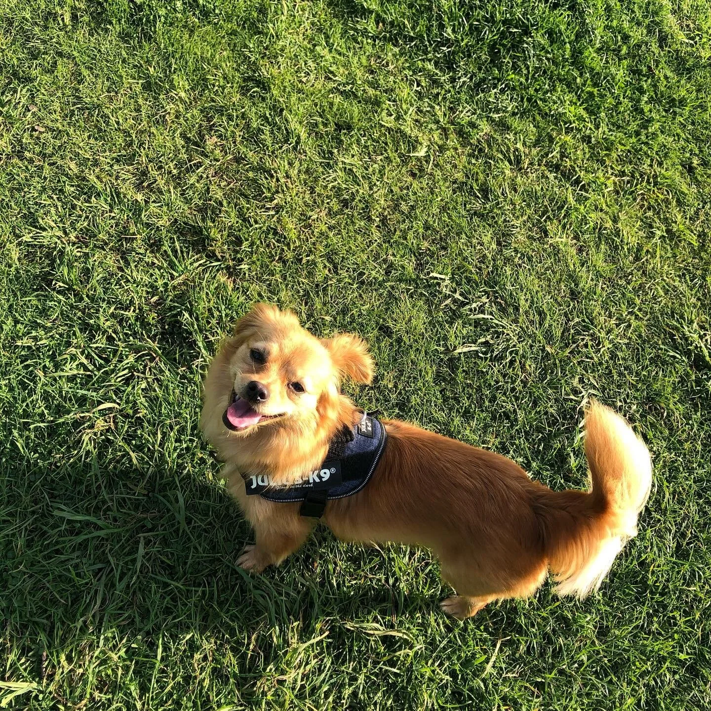 4330489C-BE16-470F-8E87-D7C8007DDA2D