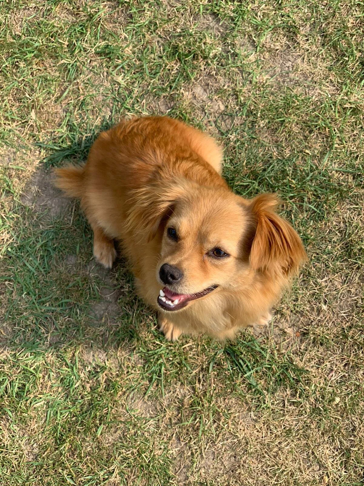 89F3DDF9-F1C9-436A-BFCC-D383CCE7B95E