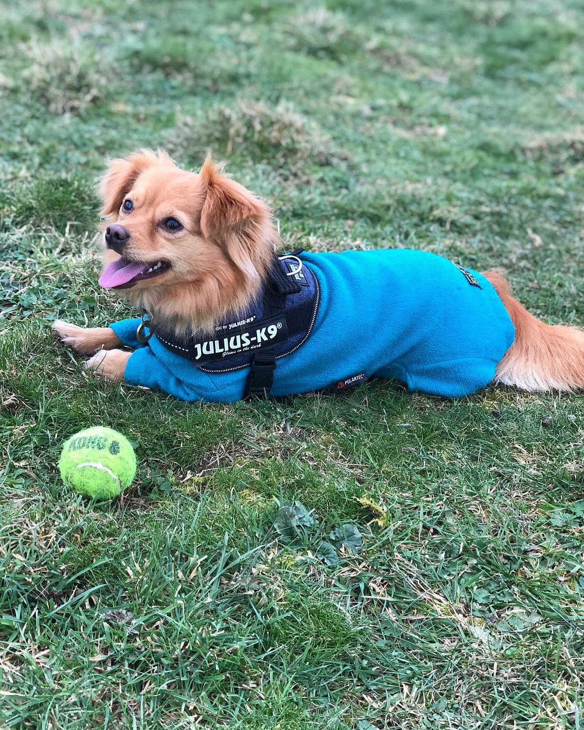 B0C146BC-64B3-4DA1-B5E3-030636240343