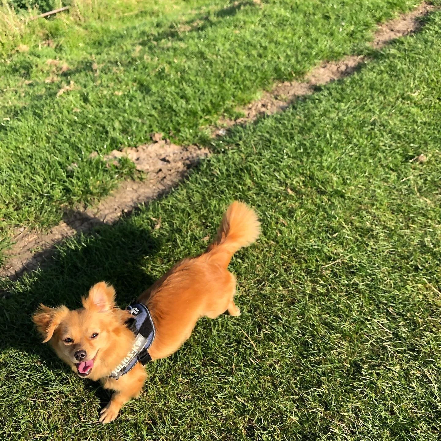 D45C2EE0-DA32-40F5-A428-CB828AF52561