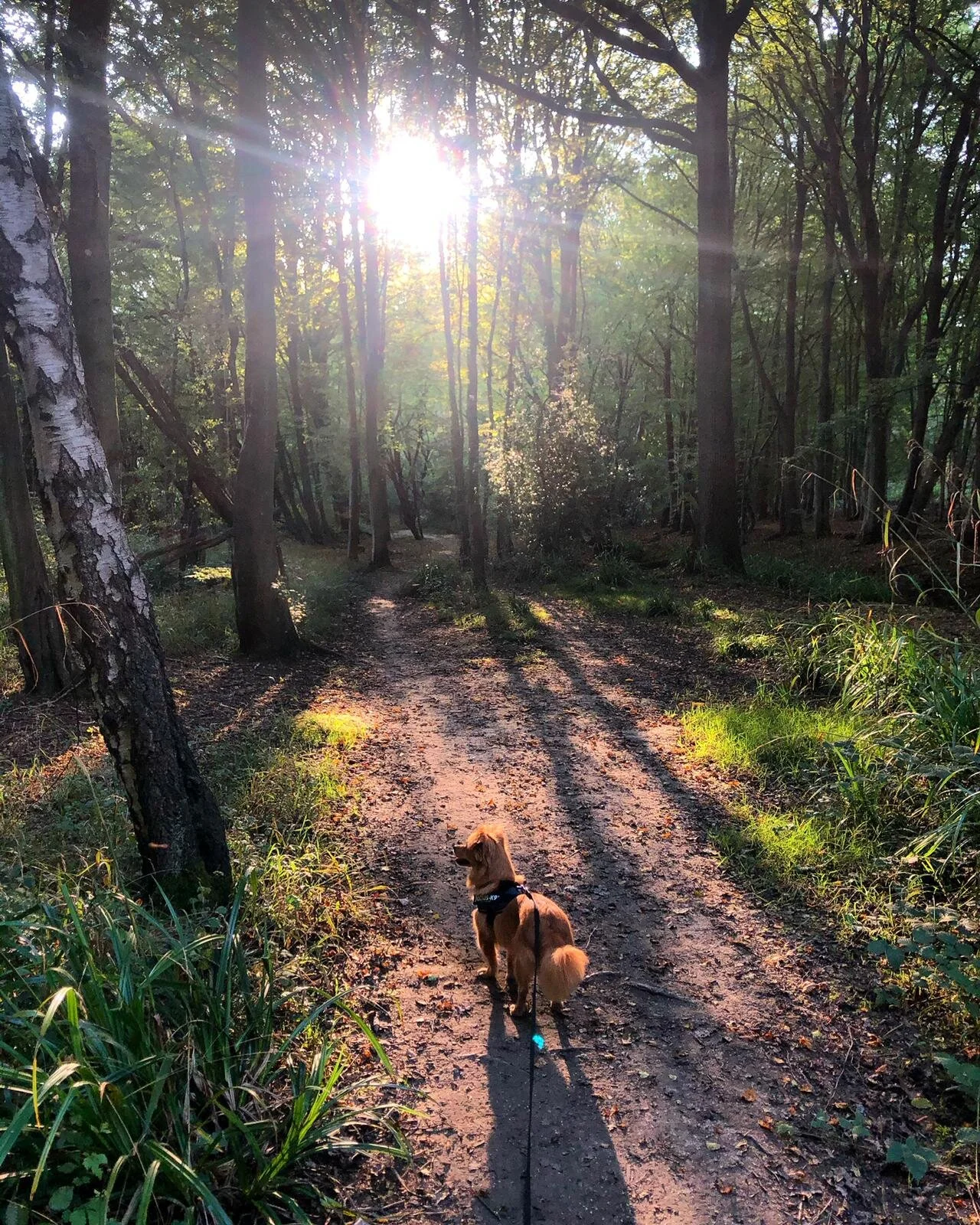 8DE96387-0208-4026-98B9-8F2BBA3DFB03