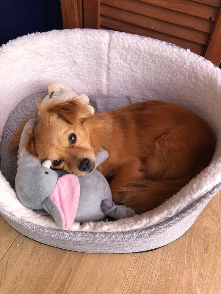 1973B9E6-885F-4B91-A996-E968884C4650