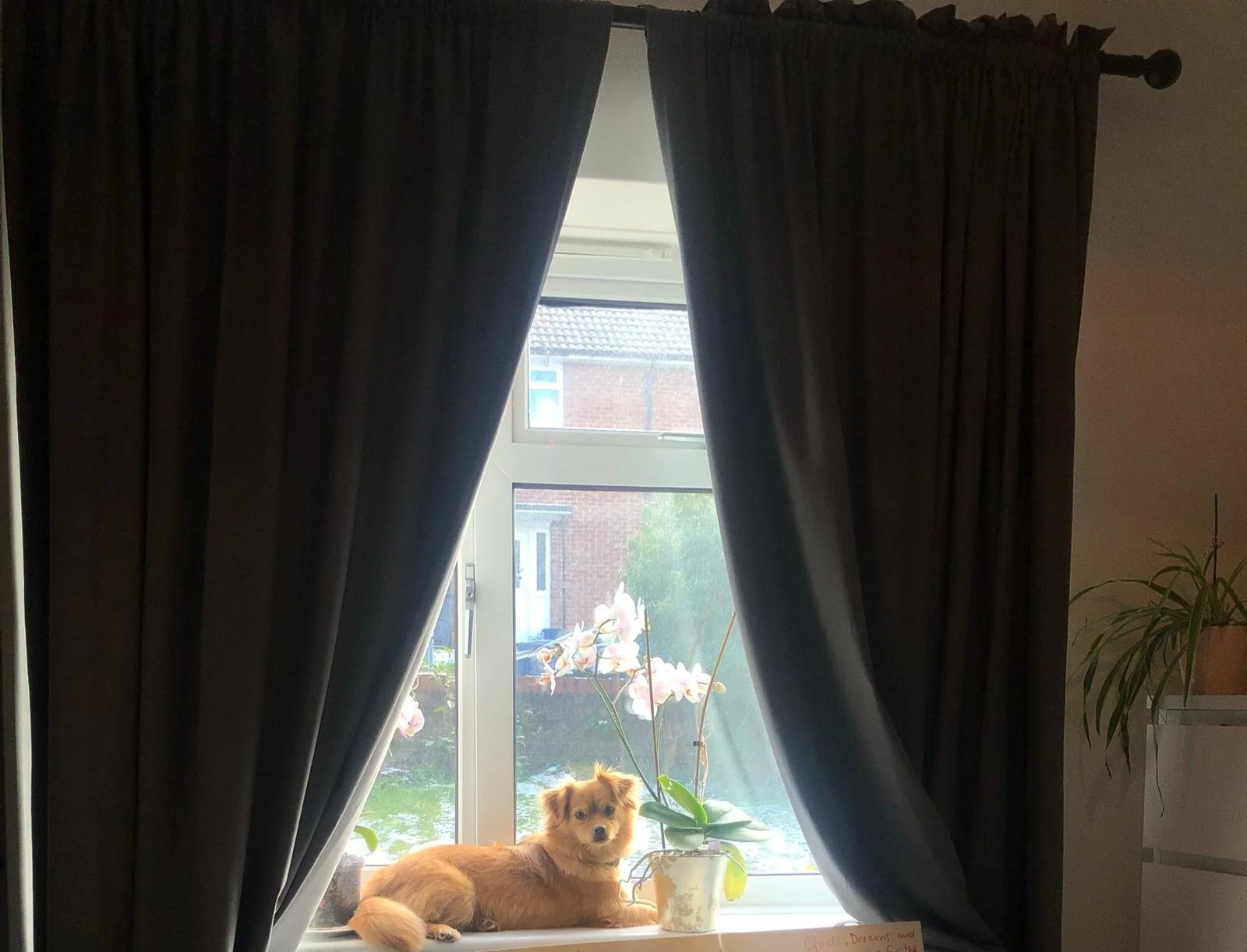 8D8D593F-768F-4FAE-A696-AAB0A83C55A7