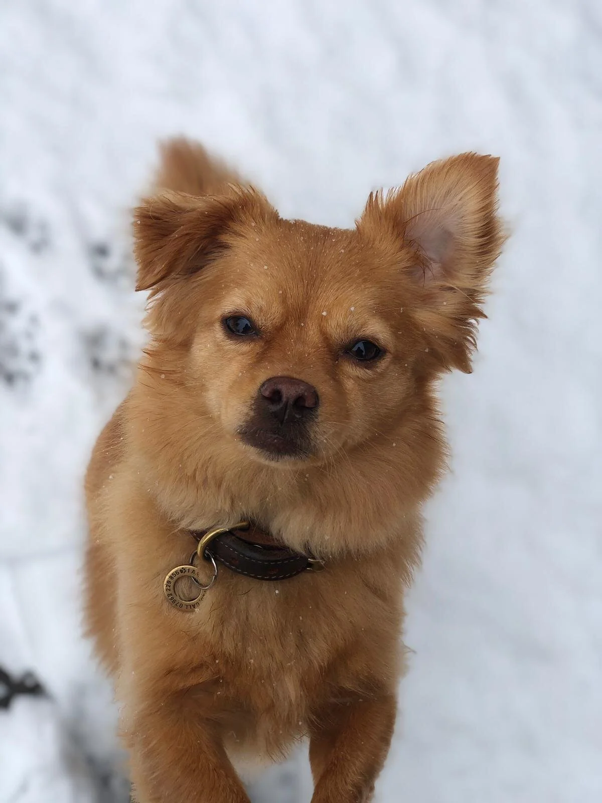 5D6098A2-2C06-4B59-838D-53781BAA7E9C