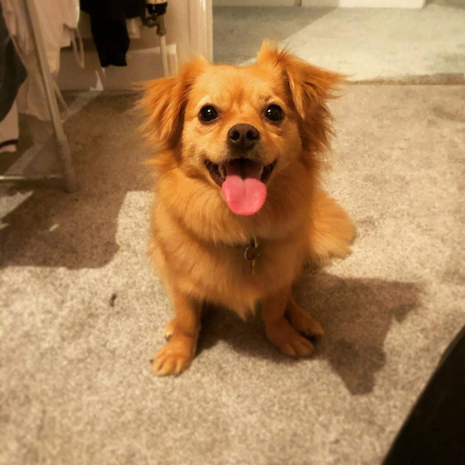 E66F2D08-A223-463F-9EA5-954BD6515017