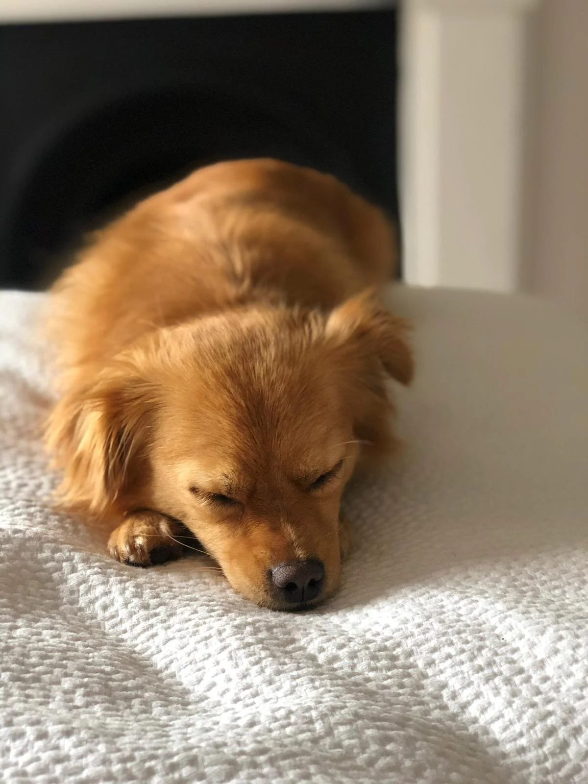 112E3CB8-FC81-4A6A-8564-6FFAB2D362AE