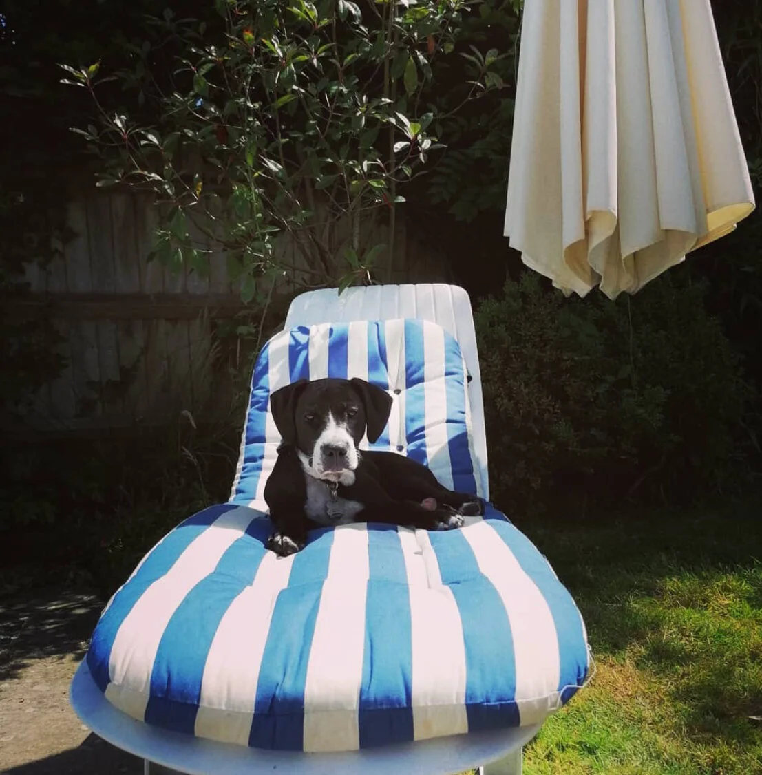 D4980C7F-0A4C-4AFE-BF99-9CC9F9E8DEF5