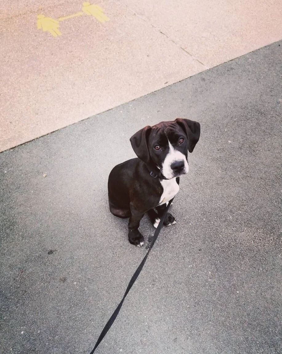 EB073826-6F55-48C6-8F2A-E8C3F21F9D08