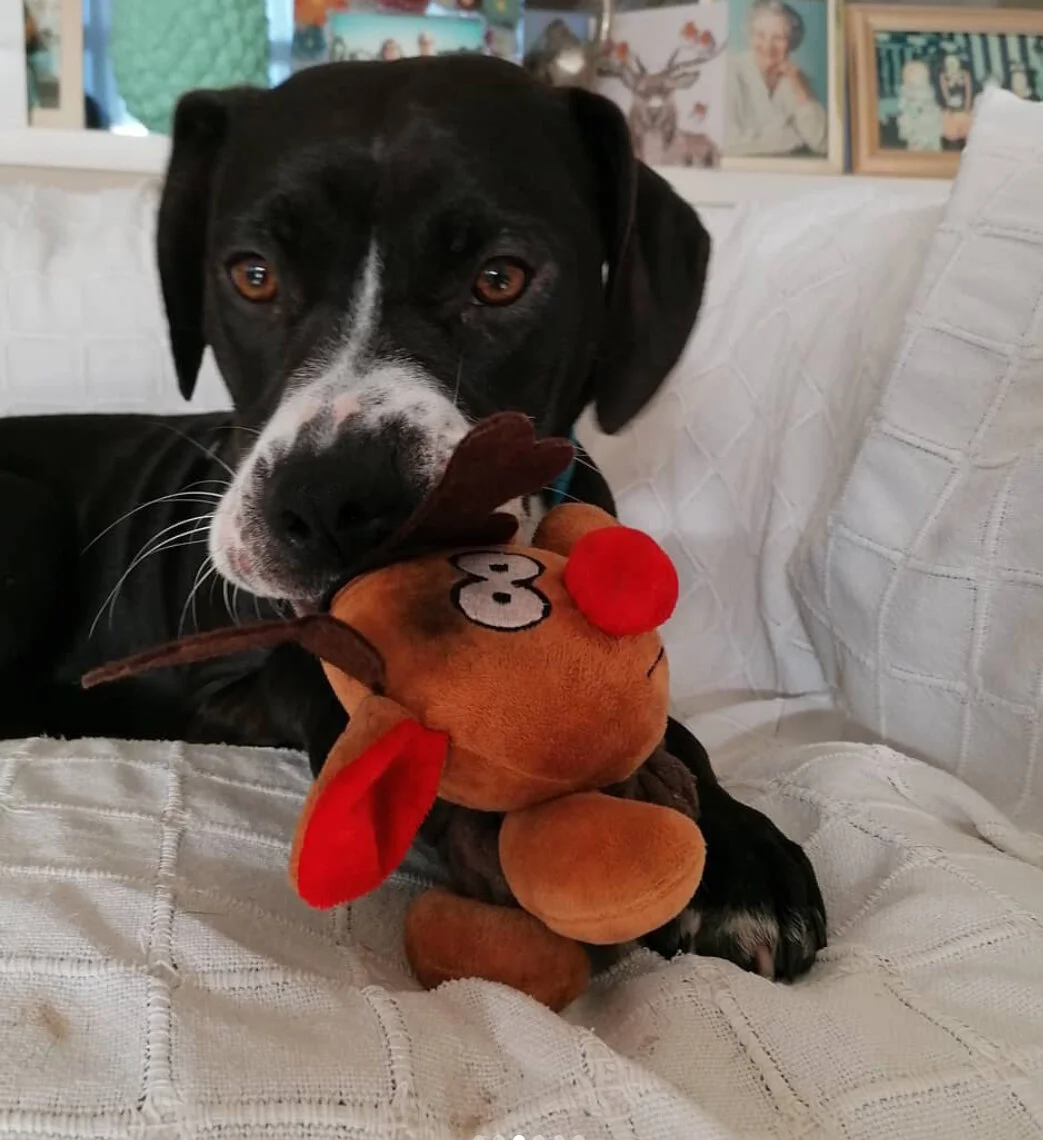 2F28996C-3E4A-4A65-9B63-A00E8FBF966D