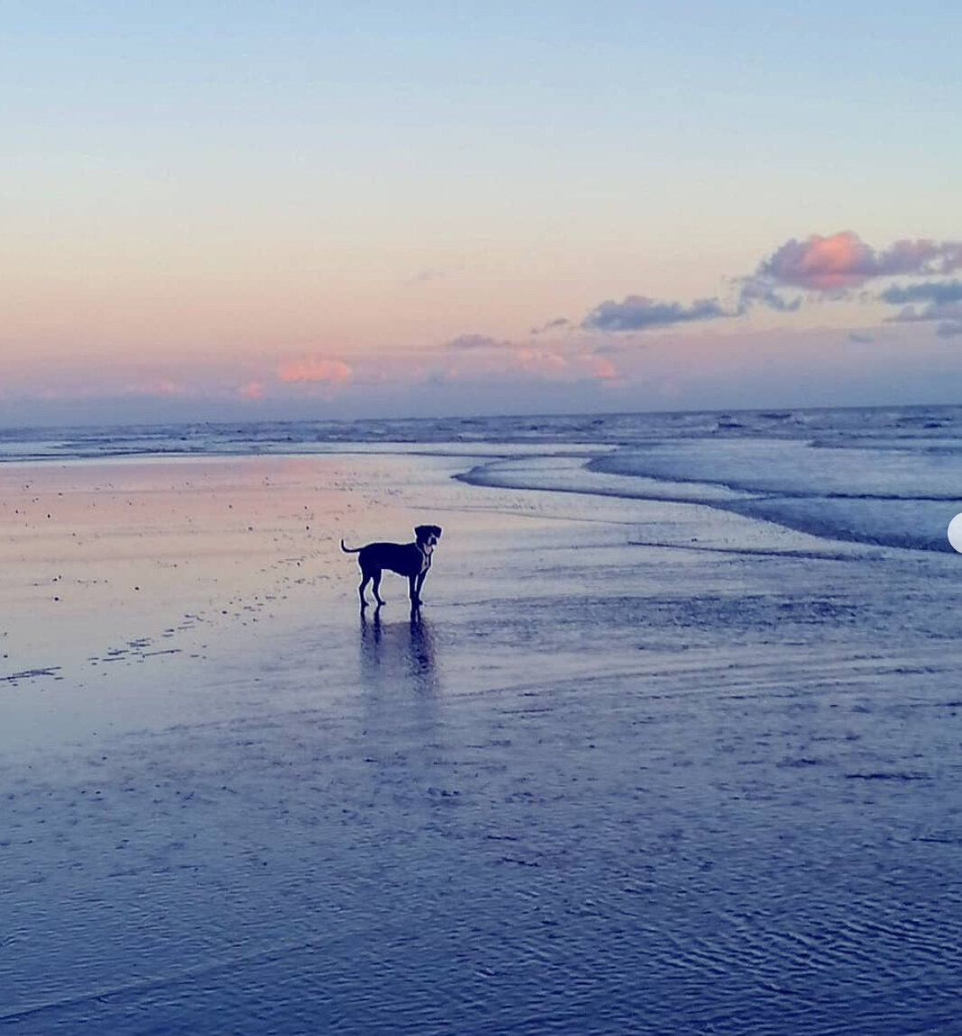 681C168E-A022-472F-B7CB-E2B5756495F0