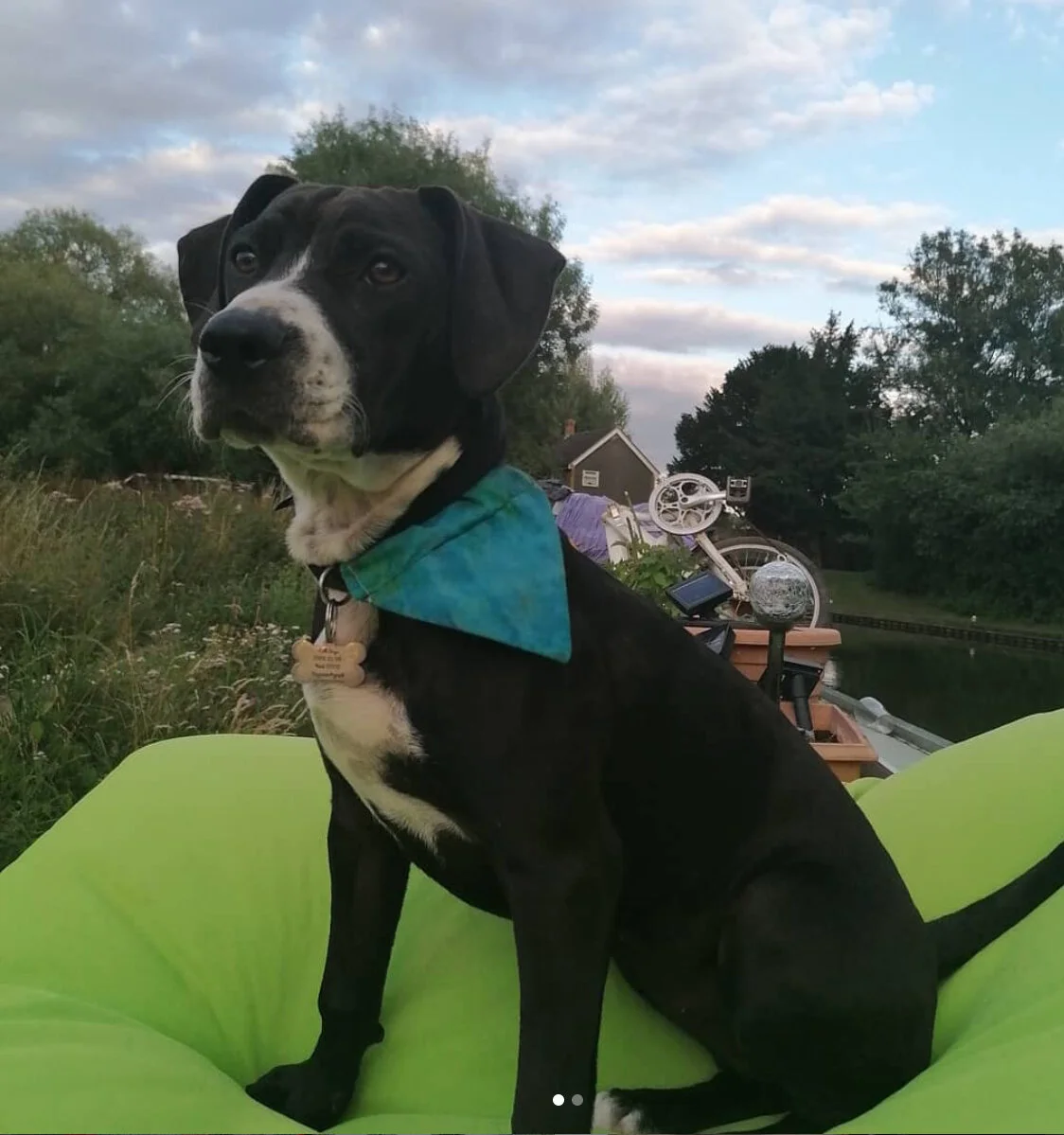 935930FF-B827-4B9B-BC47-88EC66B3DA1C