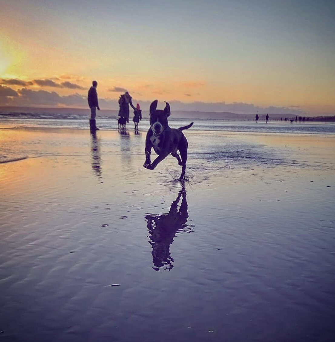 81977D27-F008-4353-9BA2-9C716EAC6769