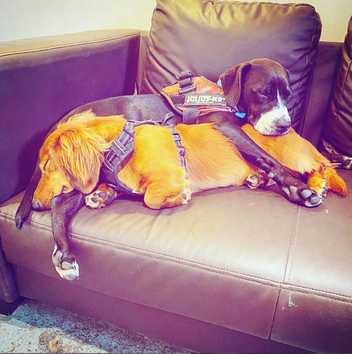 5A72D087-EE58-47E2-B6B9-8142938D835E