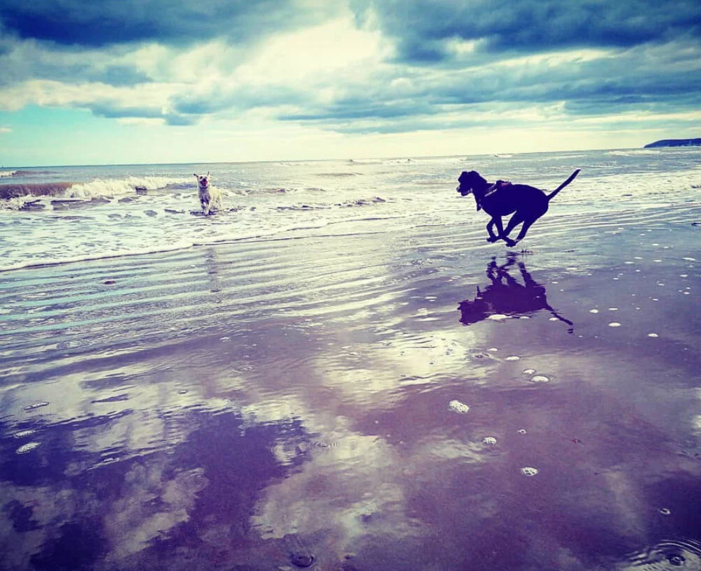 2F7EAADF-B23D-4A50-95F2-032A092285E1